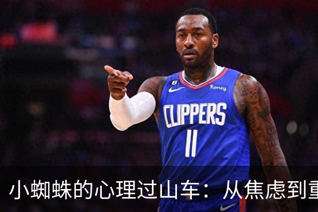小蜘蛛的心理过山车：从焦虑到重生的心路历程